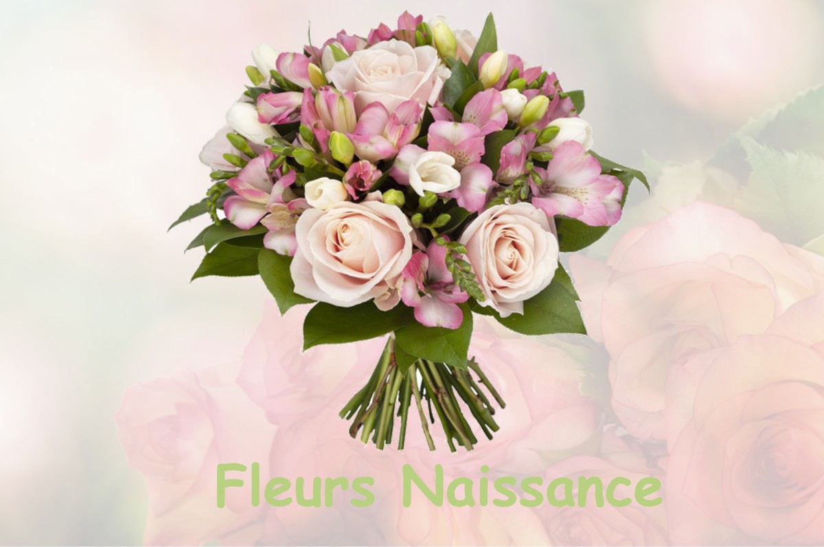 fleurs naissance SAINT-HILAIRE-LE-LIERRU