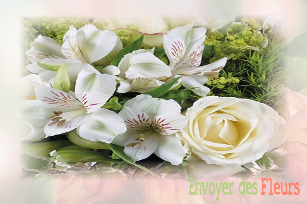 envoyer des fleurs à à SAINT-HILAIRE-LE-LIERRU